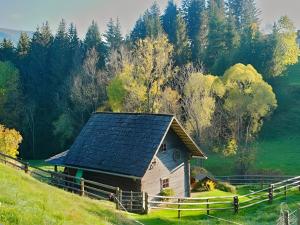 Alte Mhle in der Waldheimat alte mhle mieten